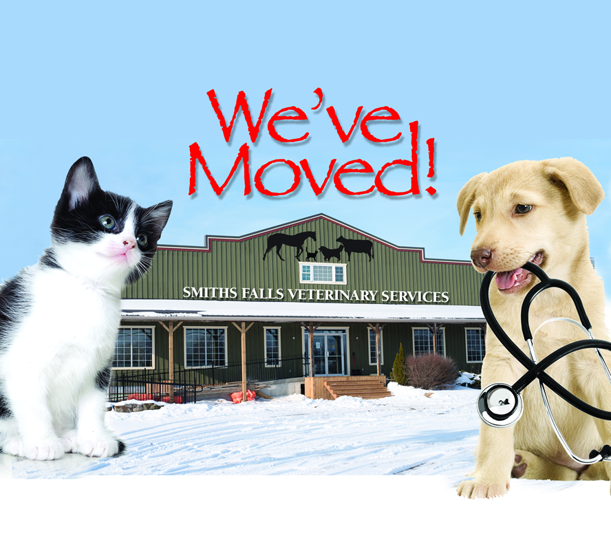 Smiths Falls Vet Services Smiths Falls, Merrickville and Athens